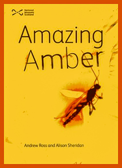 Life in Amber 1
