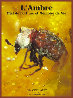 Life in Amber 1