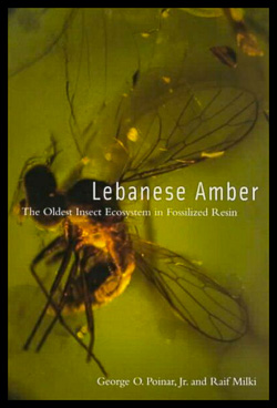 Life in Amber 1