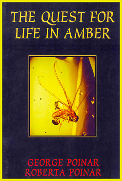 Life in Amber 1
