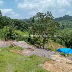 Amber Mines Dominican Republic 3