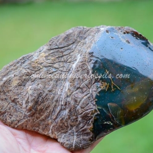 Dominican Amber Nugget 10