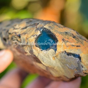Dominican Amber Nugget 12