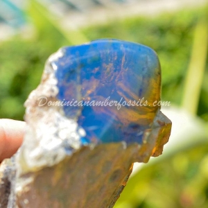 Dominican Amber Nugget 14
