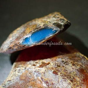Dominican Amber Nugget 15