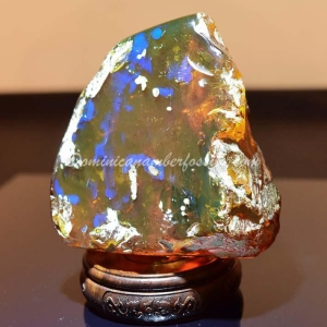 Dominican Amber Nugget 17