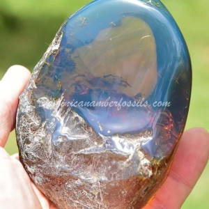 Dominican Amber Nugget 18