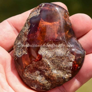 Dominican Amber Nugget 20