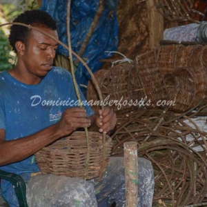 Snapshot Of Life In The Dominican Republic 11