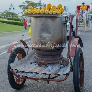 Snapshot Of Life In The Dominican Republic 14