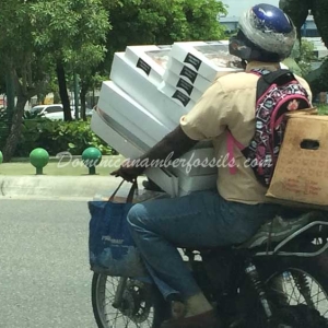 Snapshot Of Life In The Dominican Republic 17