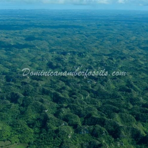 Snapshot Of Life In The Dominican Republic 20