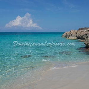 Snapshot Of Life In The Dominican Republic 30