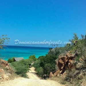 Snapshot Of Life In The Dominican Republic 33