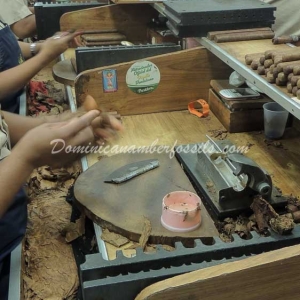 Snapshot Of Life In The Dominican Republic 4